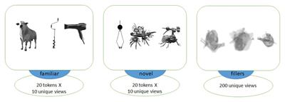 Electrophysiological Evidence of Dissociation Between Explicit Encoding and Fast Mapping of Novel Spoken Words